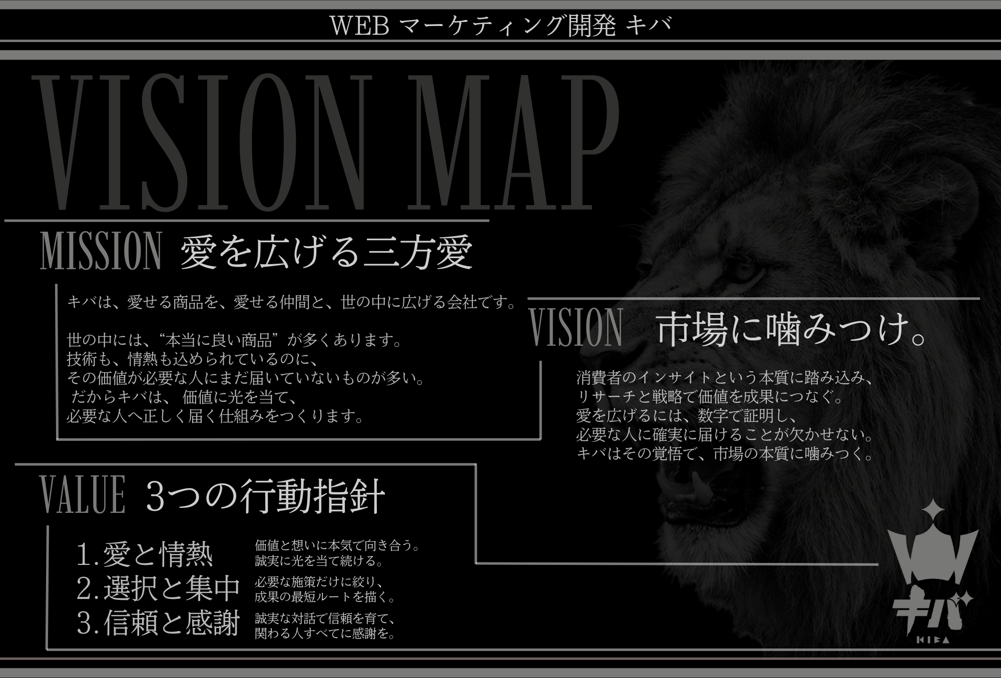 VISION MAP